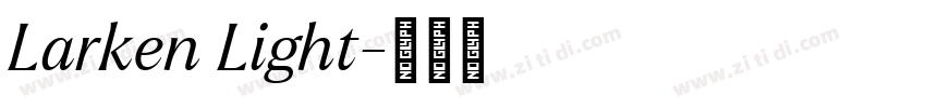 Larken Light字体转换